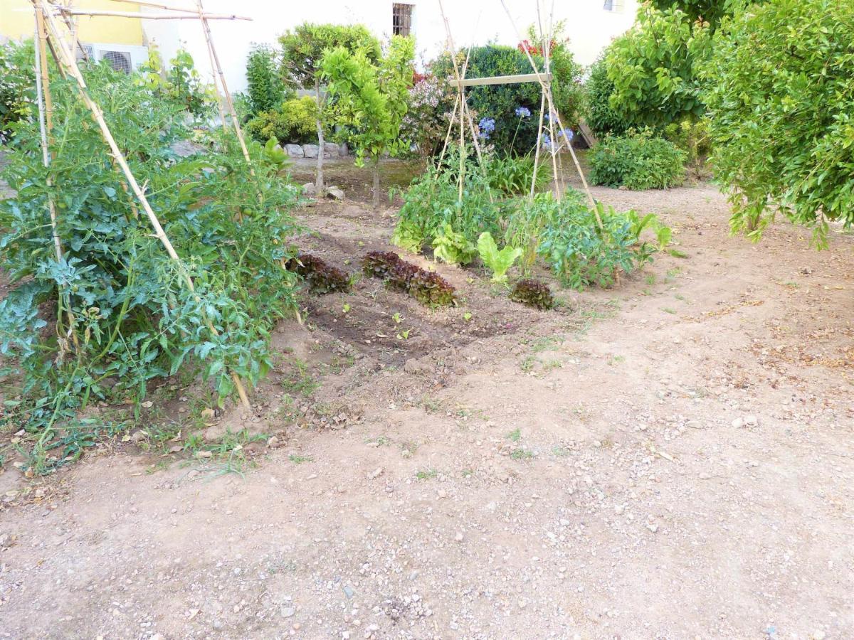 Hort De La Cinteta Villa Alcover Exterior photo